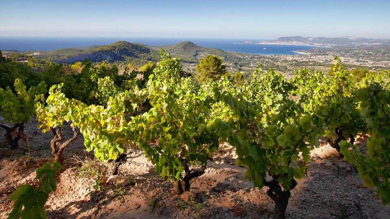 Le Belvedere Bandol Eksteriør bilde